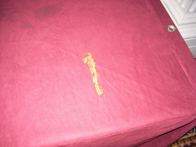DSCN1226.JPG