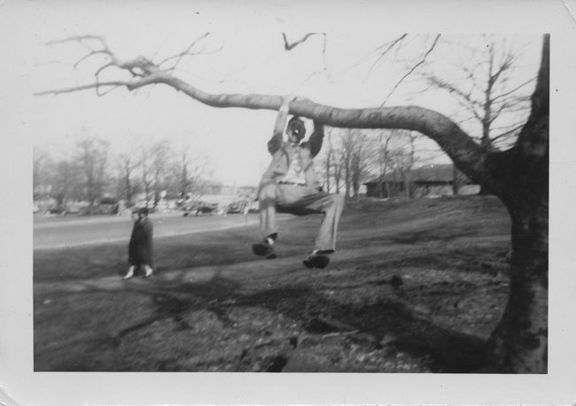 unknown man hanging from tree on unknown continent
