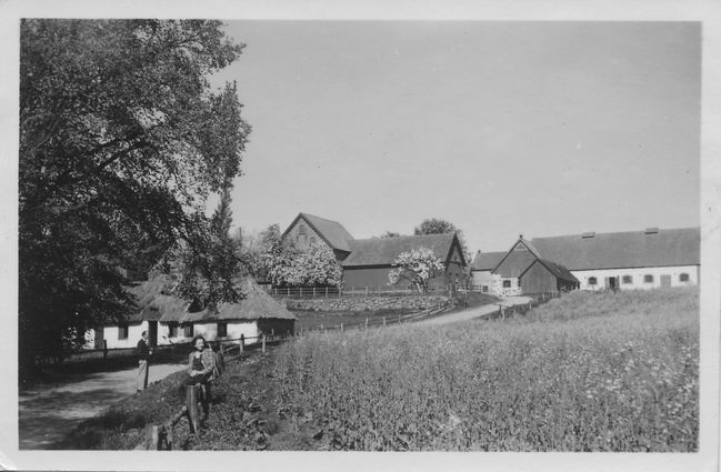 Drive through Swedish countryside ca 1952
