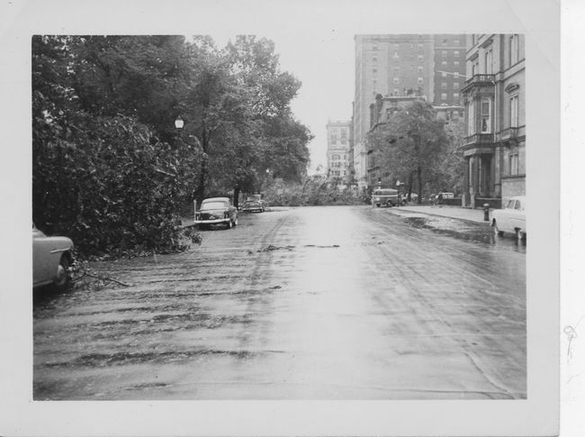 Arlington St. Boston, after a hurricane
