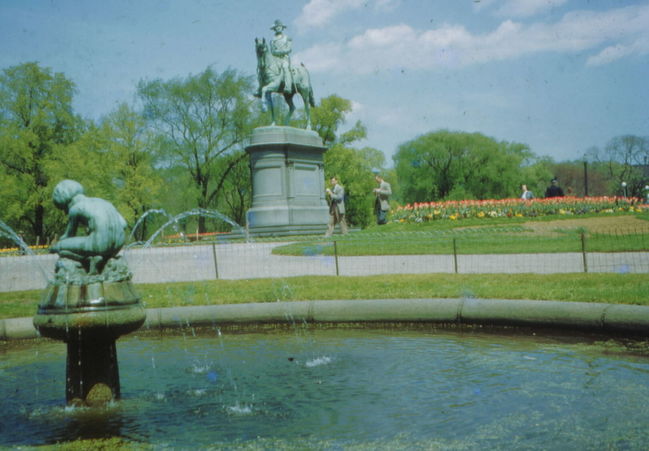 Boston Public Gardens, mid 1950's
