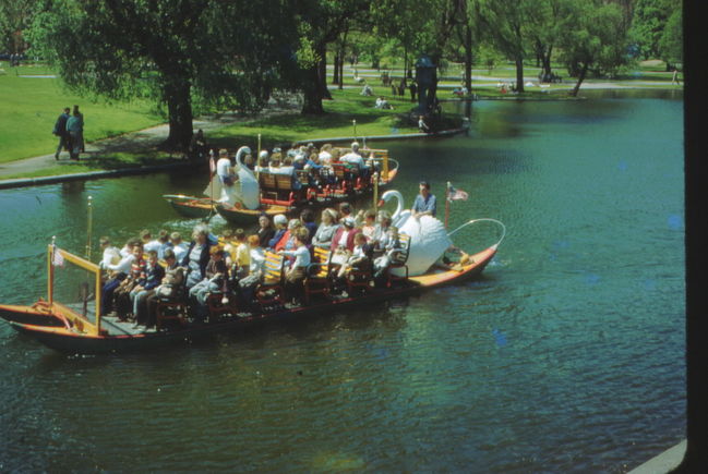 Swan boats, Boston Public Gardens, mid 1950's
