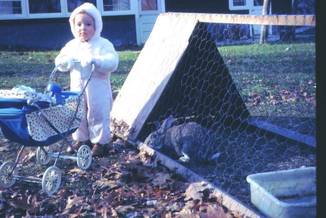 Leslie winter 1963 behind 13 Cynthia Road with 'Long Ears' wild rabbit that we caught and tamed and kept as a pet for years
