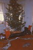 G_10020_-_Christmas_1985.jpg