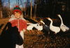 G_10035_-_Peter_and_geese_28c_198929.jpg