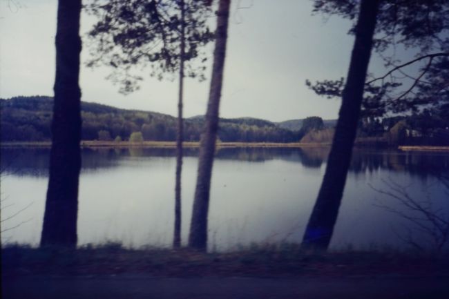 IMAG0118.JPG