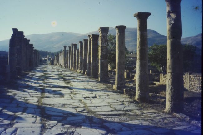 Roman city of Djemila.  Note you can still see the ruts of wagon wheels cut into the stone surface of the road from centuries of use
