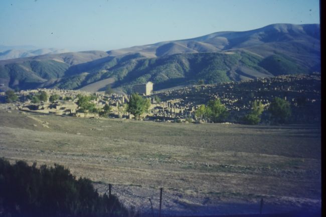 The view of the Roman city of Djemila which we visited on our drive home from Carthage in Tunisia
