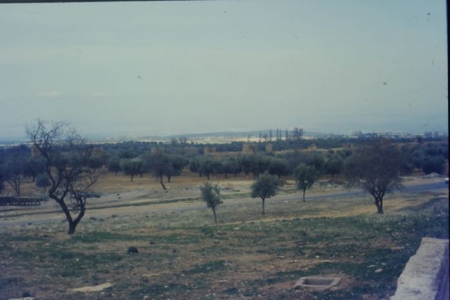 near Tlemcen, Algeria
