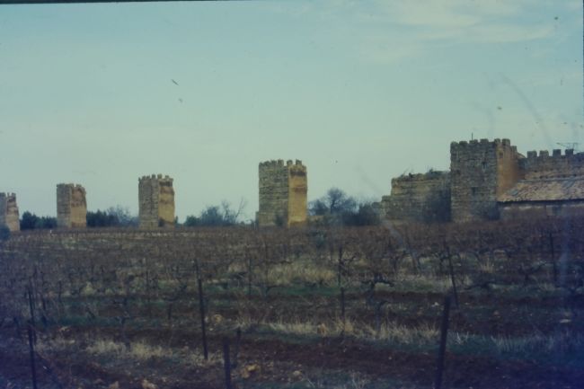 ruins near Tlemcen, Algeria
