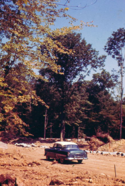 Chevy1.jpg