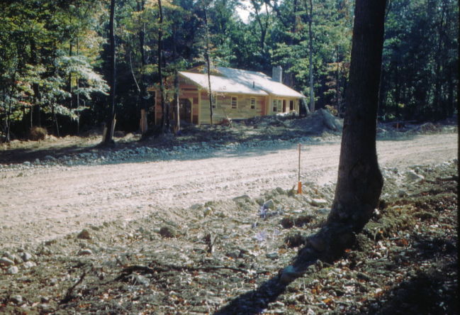 House3.jpg