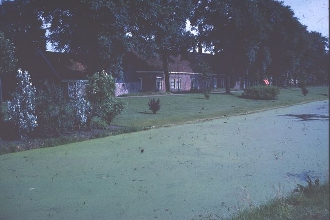 Scan-140809-0054.jpg