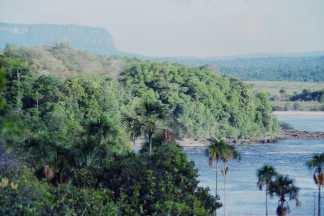 Canaima
