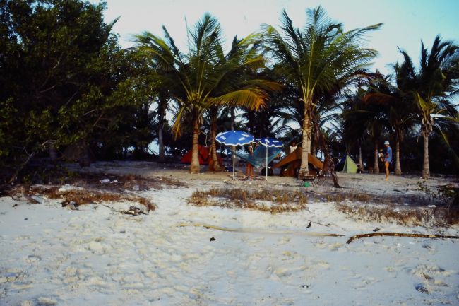 Morrocoy beach scene
