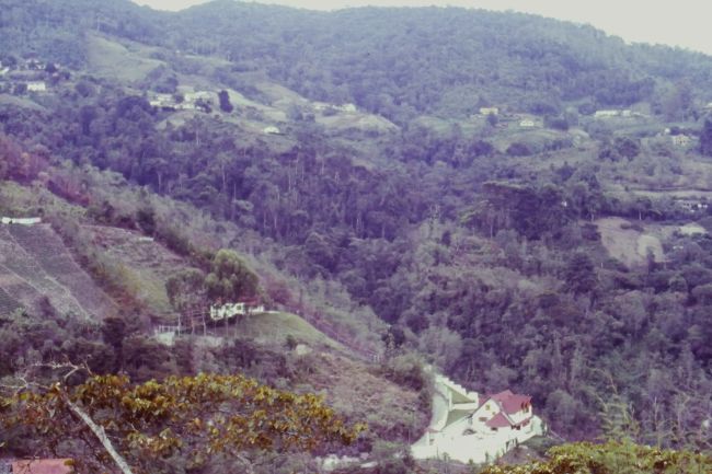 Views in Venezuelan Andes
