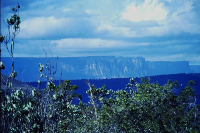 Tepui view during Canaima hike
