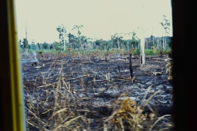 Near Puerto Ayacucho, Territorio Amazonas
