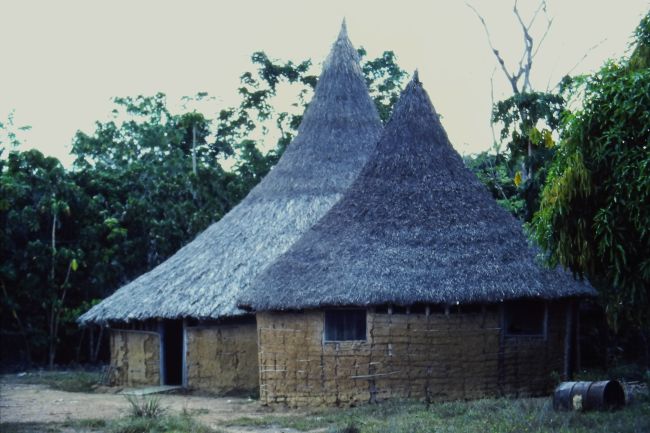 Near Puerto Ayacucho, Territorio Amazonas
