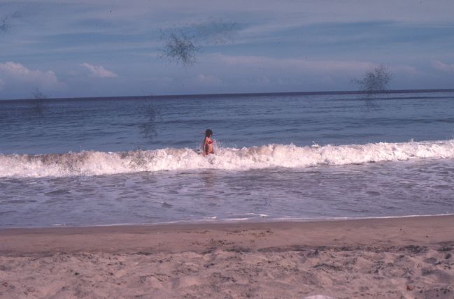 Scan-140728-0041.jpg
