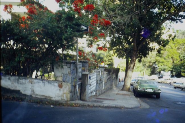 Caracas street
