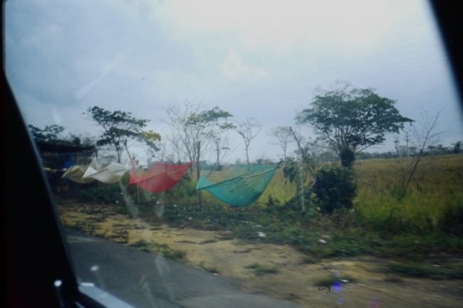on the drive to Morrocoy
