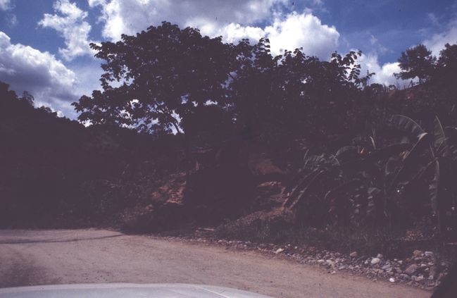 Scan-150301-0001.jpg