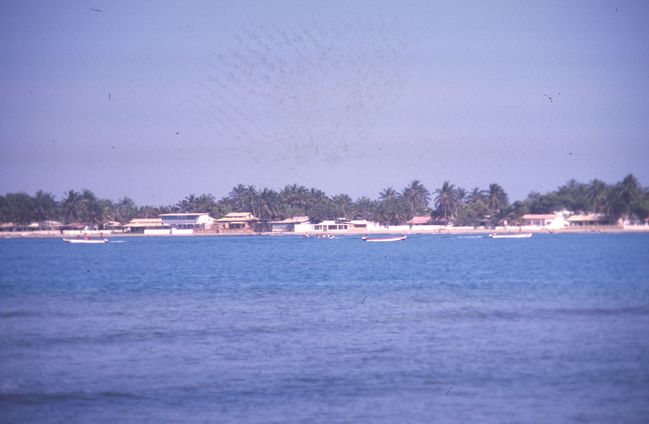 Scan-150301-0013.jpg