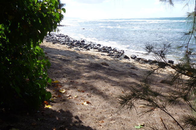 P1010621.JPG