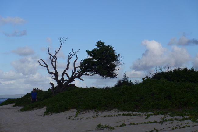 P1010644.JPG