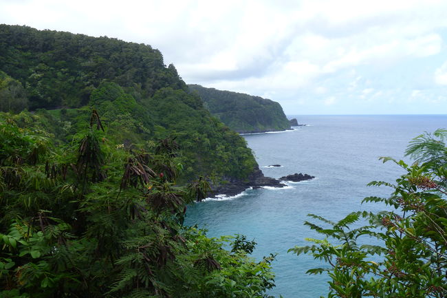 P1010742.JPG