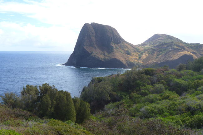 P1010773.JPG