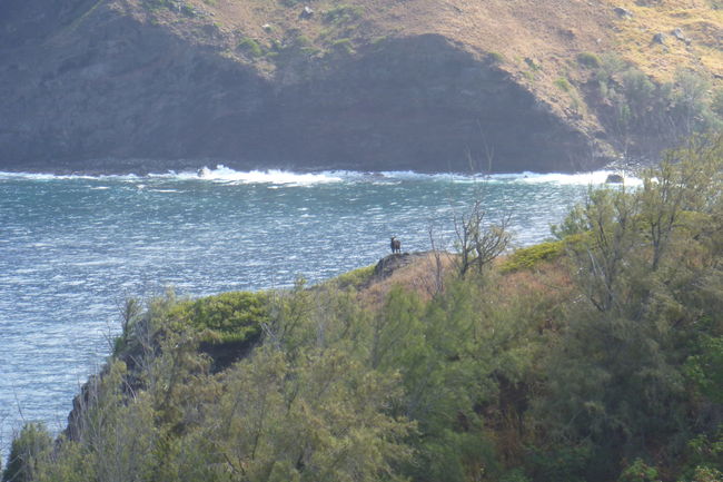 P1010774.JPG