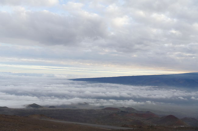 P1010941.JPG