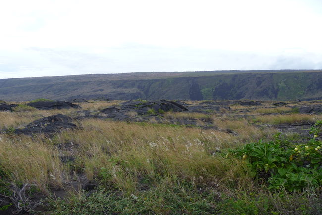 P1020016.JPG