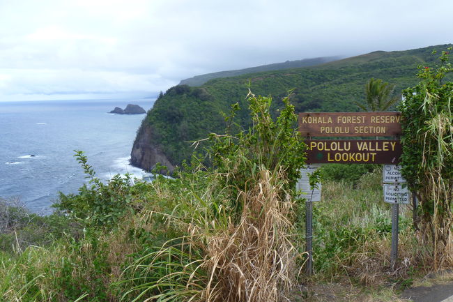 P1020057.JPG