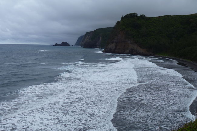 P1020065.JPG