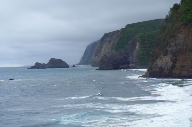P1020066.JPG