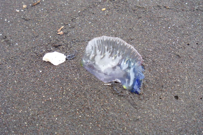 P1020076.JPG