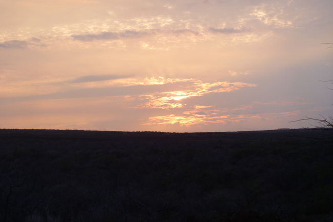 P1020090.JPG