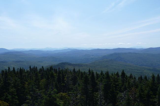 P1010318.JPG