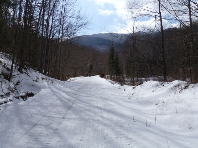 P1000336.JPG