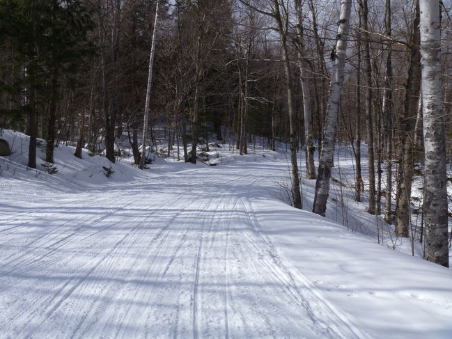 P1000341.JPG