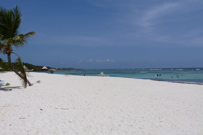 P1000419.JPG