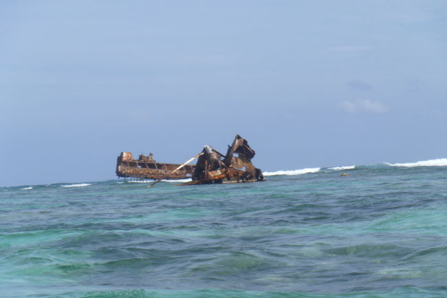 P1000498.JPG