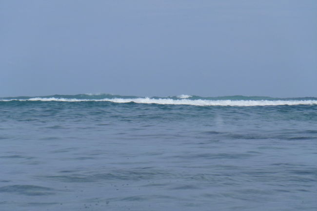 P1000504.JPG