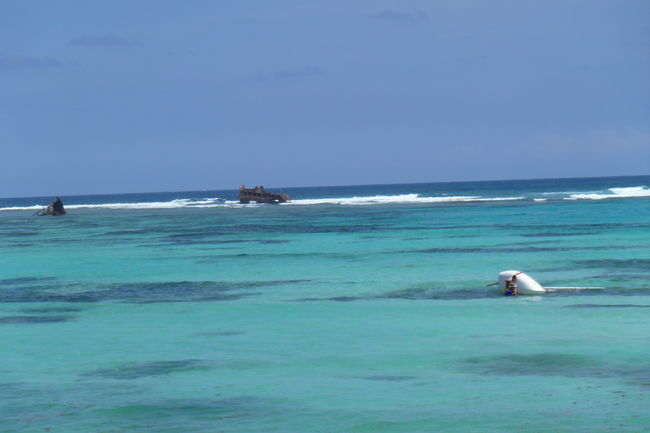 P1000520.JPG