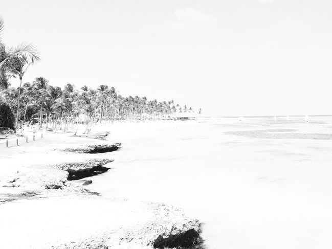P1000524.JPG