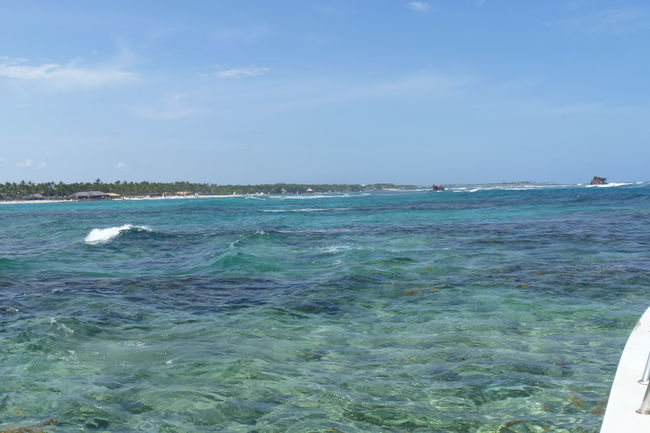 P1000530.JPG