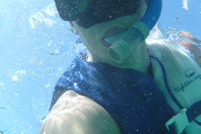 P1000534.JPG